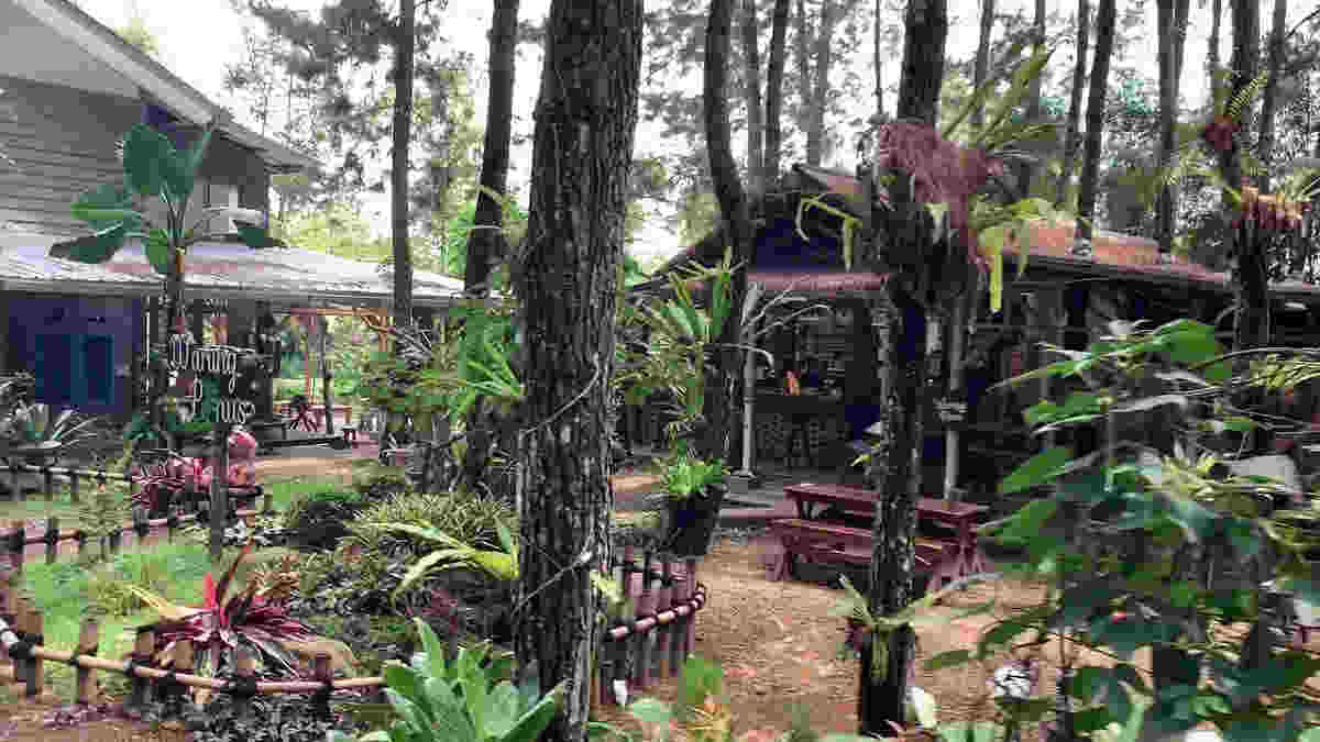 Warung Pinusan: Rasa Autentik di Jantung Kawunganten